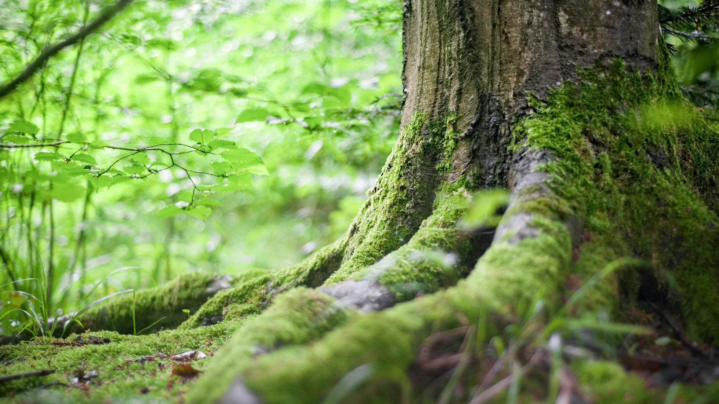 女性司法書士によるきめ細やかな対応