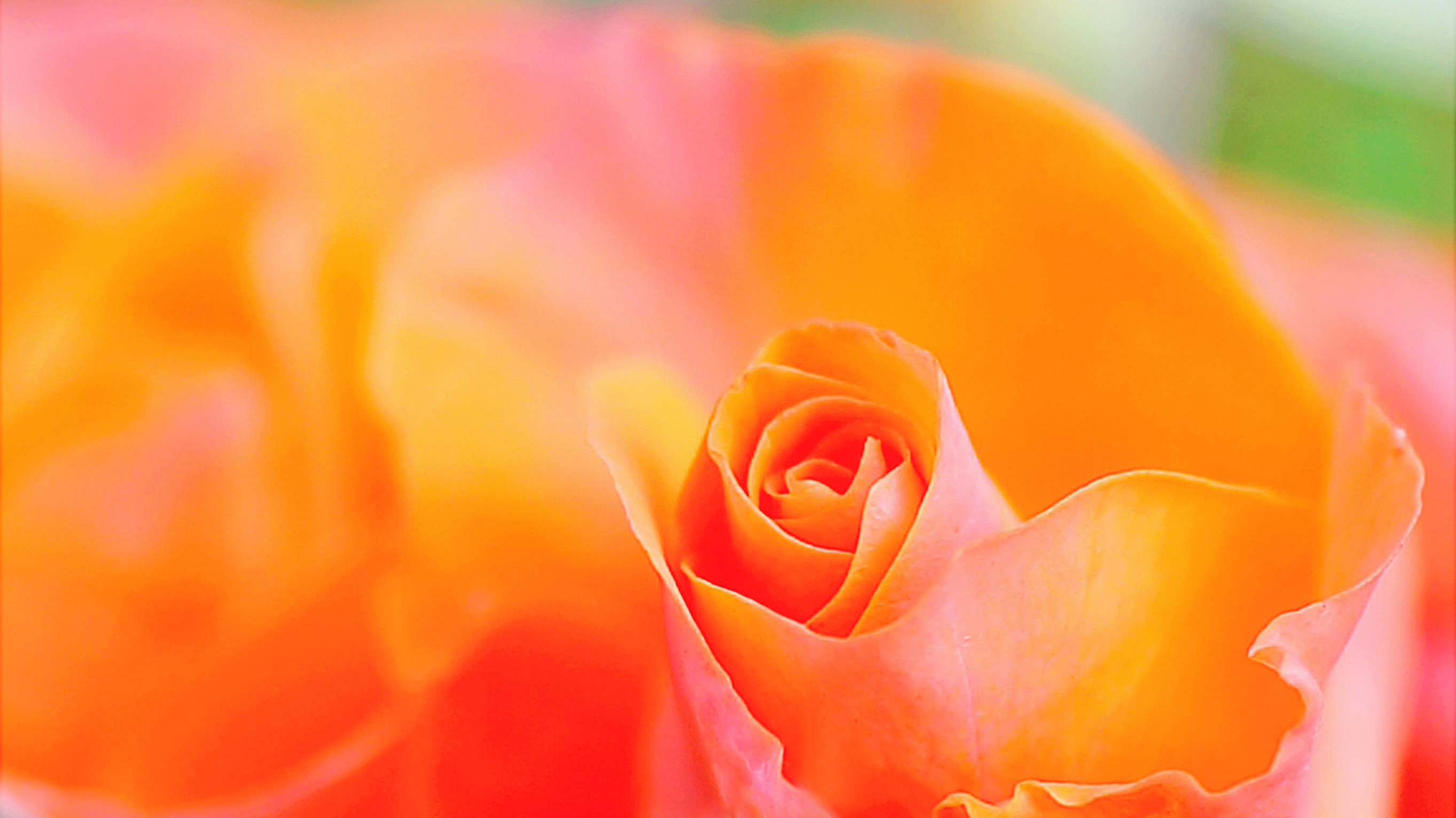 一人ひとりに合った解決策のご提案